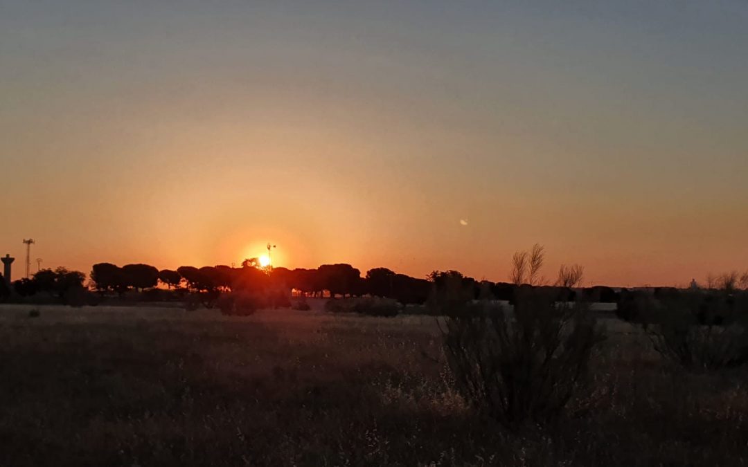 Pensamientos de junio: purificáis vuestros sentimientos…