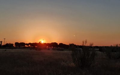 Pensamientos de junio: purificáis vuestros sentimientos…