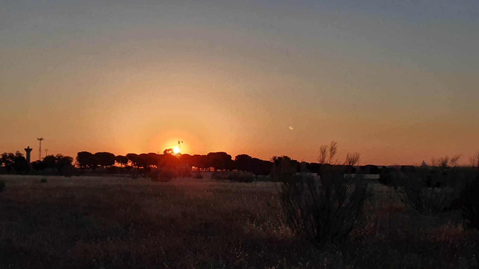 Pensamientos de junio: purificáis vuestros sentimientos…
