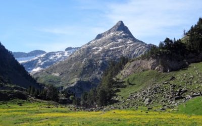 Pensamientos de junio: La luz: esta palabra resume…