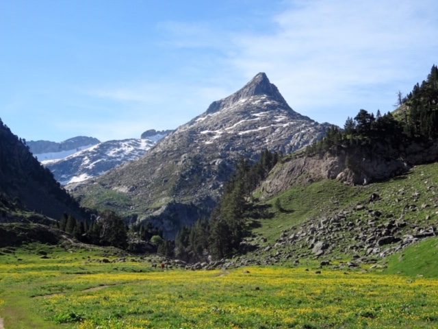 Pensamientos de junio: La luz: esta palabra resume…