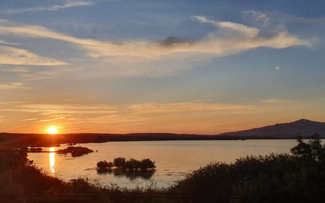 Pensamientos de junio: Él irradia…