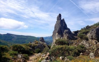 Pensamientos de junio: te ayudaré