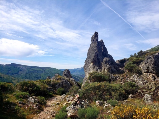 Pensamientos de junio: te ayudaré