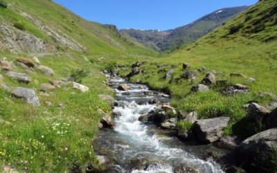 Pensamientos de junio:  aprestaos a recibir las ondas vibratorias enviadas por Nosotros