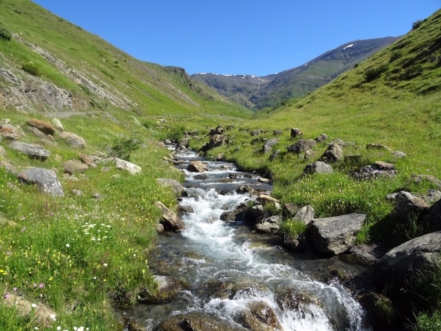 Pensamientos de junio:  aprestaos a recibir las ondas vibratorias enviadas por Nosotros