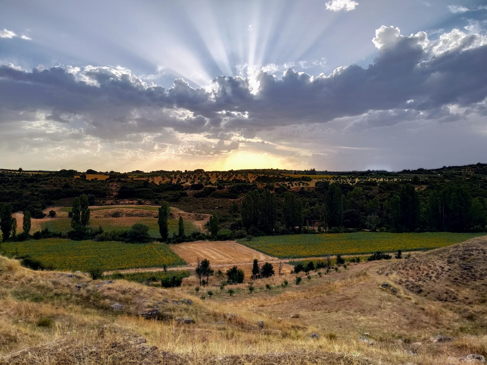 Pensamientos de agosto: no os desviéis del sendero de ascenso