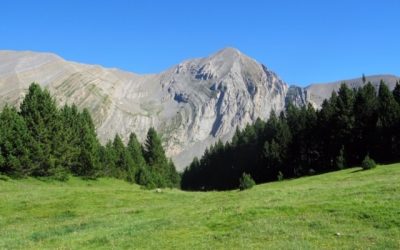 Pensamientos de julio: convertirse en la ciudad de luz