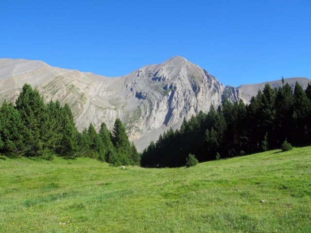 Pensamientos de julio: convertirse en la ciudad de luz