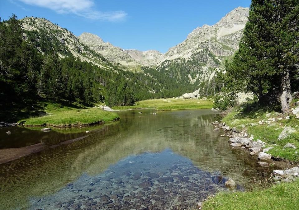 Pensamientos de julio: embelesaré vuestros oídos con la canción de la Verdad