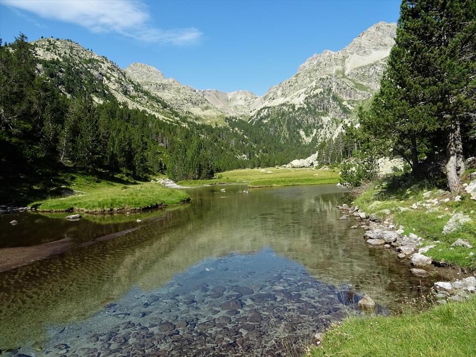 Pensamientos de julio: embelesaré vuestros oídos con la canción de la Verdad