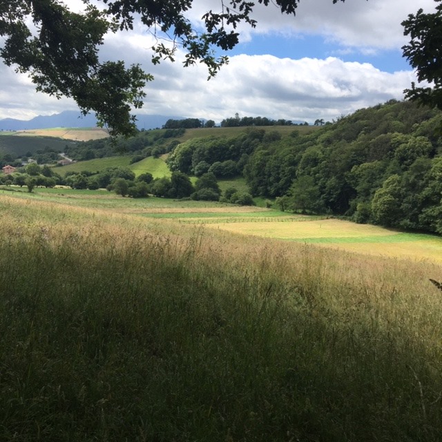 Pensamientos de julio: identificarnos cada vez más con nuestro Yo superior