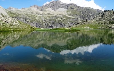 Pensamientos de julio: mirad hacia adelante