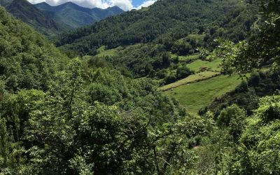 Pensamientos de jullo: crear una atmósfera pura