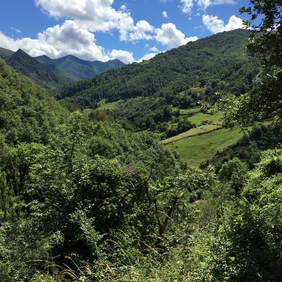 Pensamientos de jullo: crear una atmósfera pura