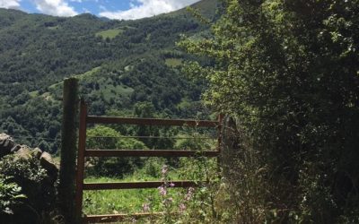 Pensamientos de julio: buscar el orden en nuestro interior