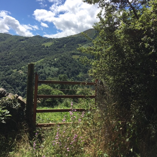 Pensamientos de julio: buscar el orden en nuestro interior