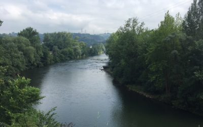 Pensamientos de julio: entrar en contacto con el agua