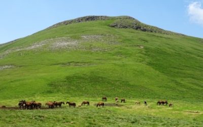 Pensamientos de julio: trabajad