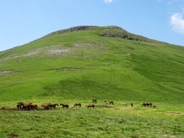 Pensamientos de julio: trabajad