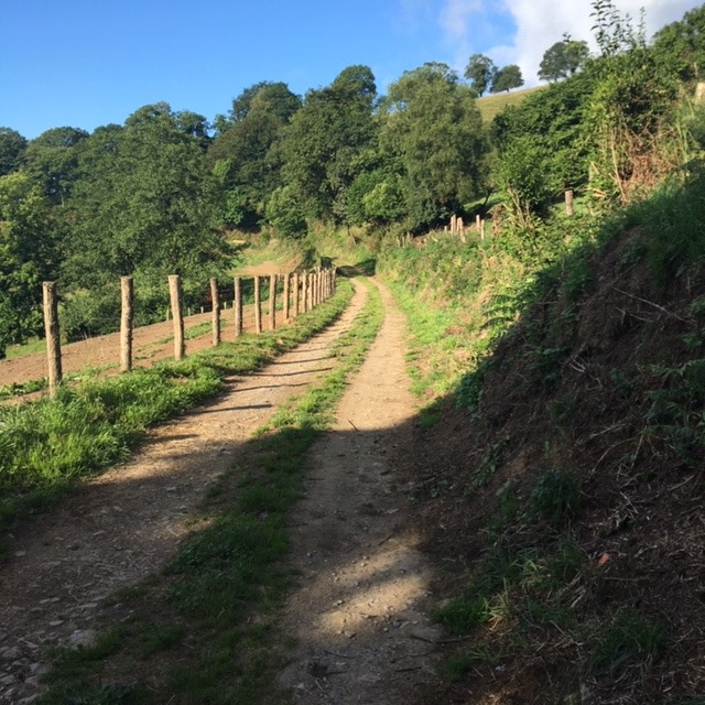 Pensamientos de julio: intentad tomar esas partículas divinas…