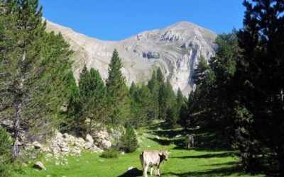 Pensamientos de julio: estoy con vosotros