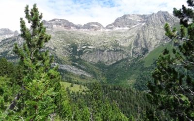 Pensamientos de julio: ¿Conocéis ese jardín?