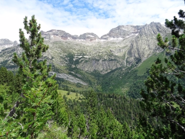 Pensamientos de julio: ¿Conocéis ese jardín?