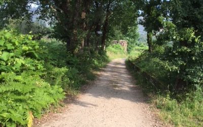 Pensamientos de agosto: la unidad