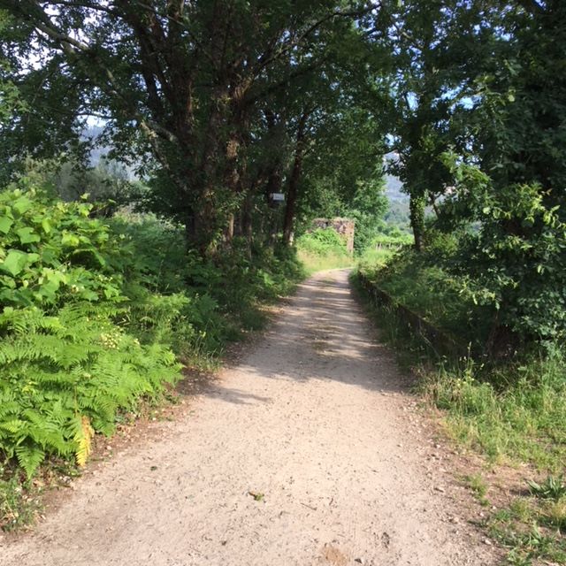 Pensamientos de agosto: la unidad