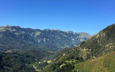 Pensamientos de agosto: nuestra consciencia se expande…