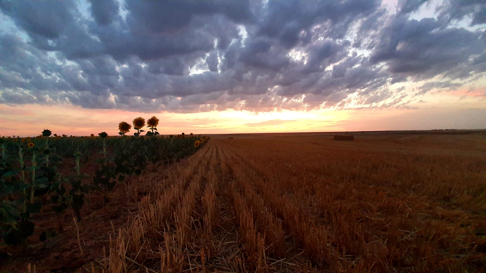 Pensamientos de agosto: el idioma de la perfección…