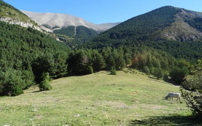 Pensamientos de agosto: la Luz que os llama