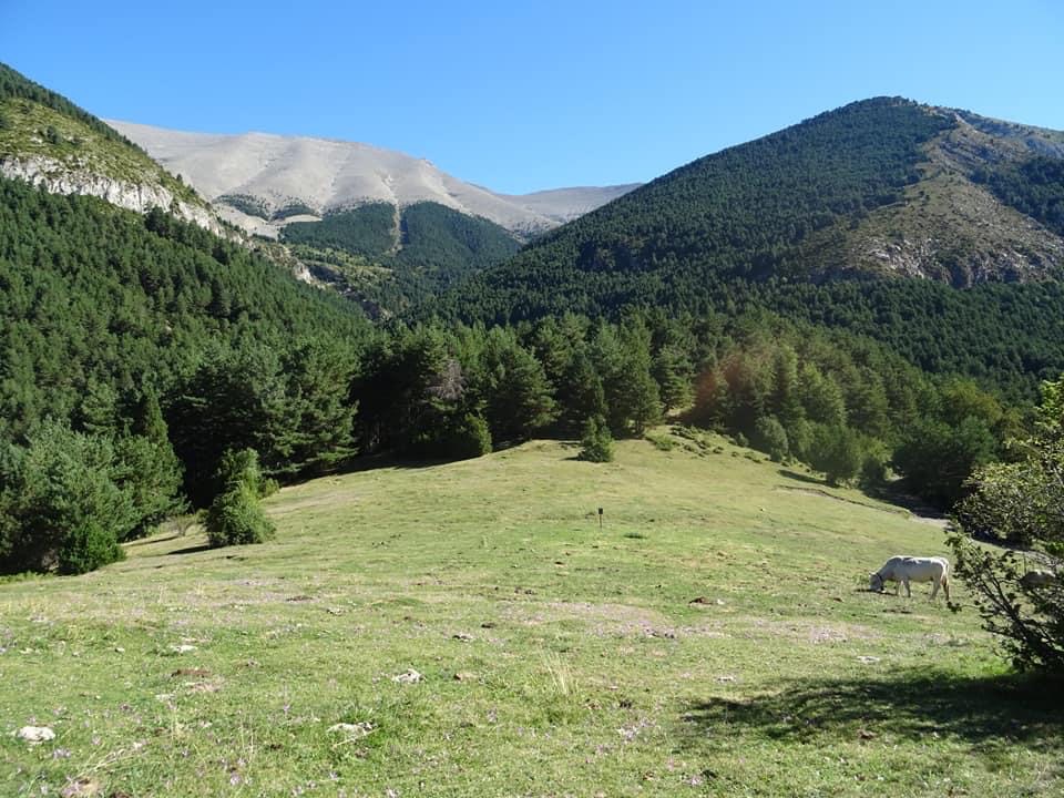 Pensamientos de agosto: la Luz que os llama