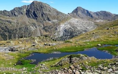 Pensamientos de agosto: purificarnos