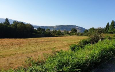 Pensamientos de agosto: conectar con la Divinidad…