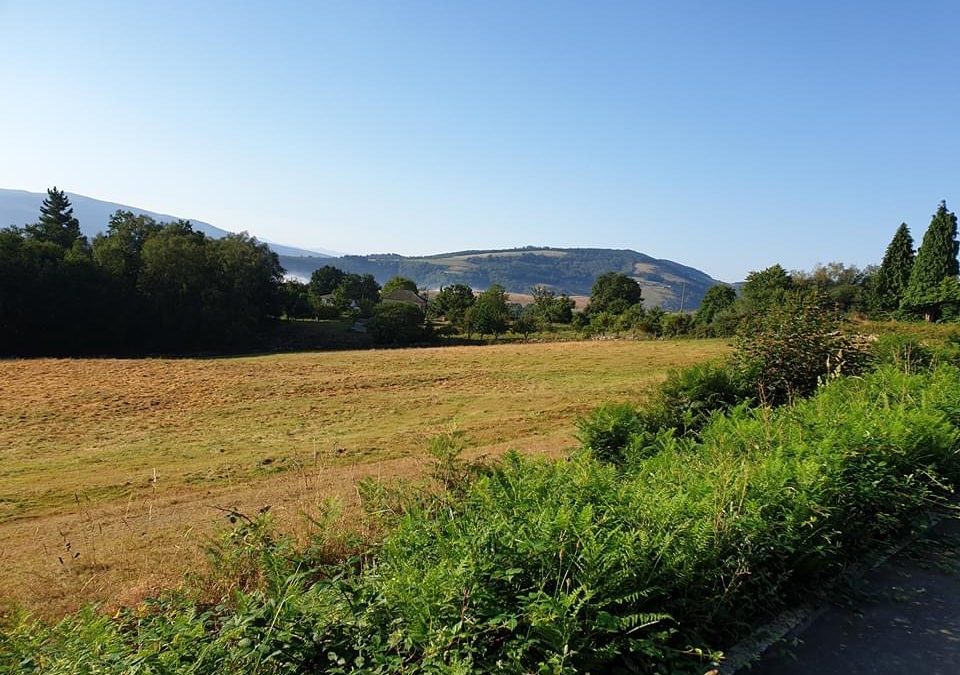 Pensamientos de agosto: conectar con la Divinidad…