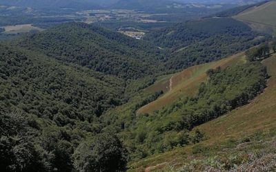 Pensamientos de agosto: abarcad el infinito…