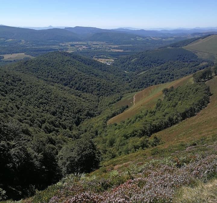 Pensamientos de agosto: abarcad el infinito…