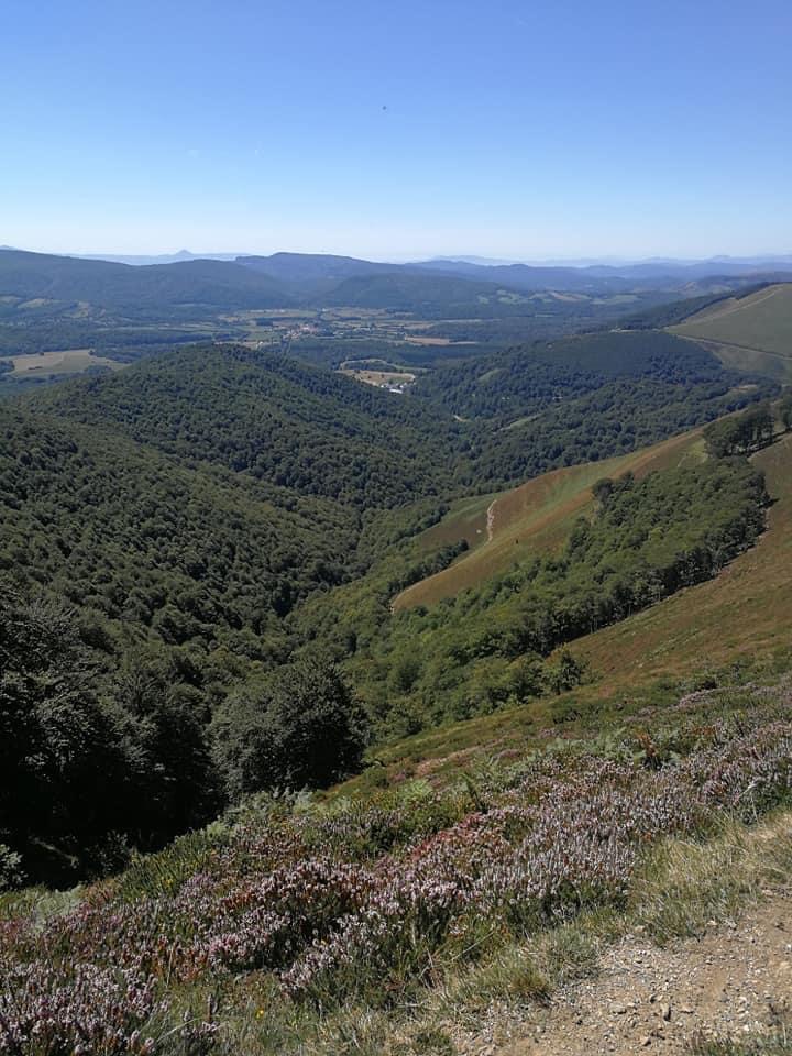 Pensamientos de agosto: abarcad el infinito…