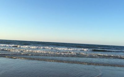 Pensamientos de septiembre: conservar sólo lo esencial…