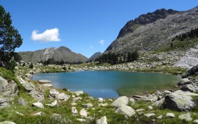 Pensamientos de agosto: no os degradéis…