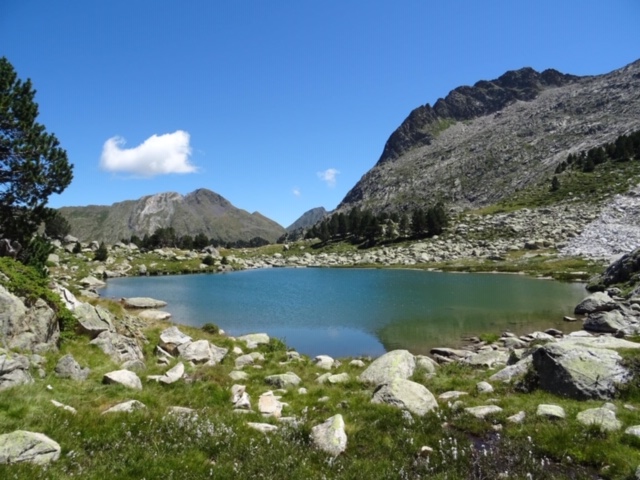 Pensamientos de agosto: no os degradéis…