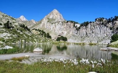 Pensamientos de agosto: evita la ira y la desunión..