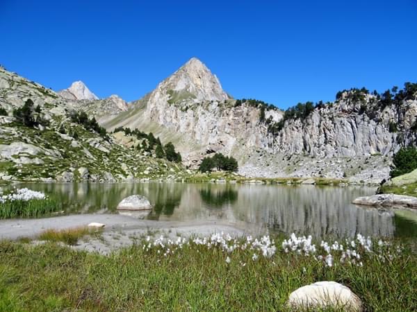 Pensamientos de agosto: evita la ira y la desunión..