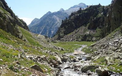 Pensamientos de agosto: Yo mismo seré tu ayuda