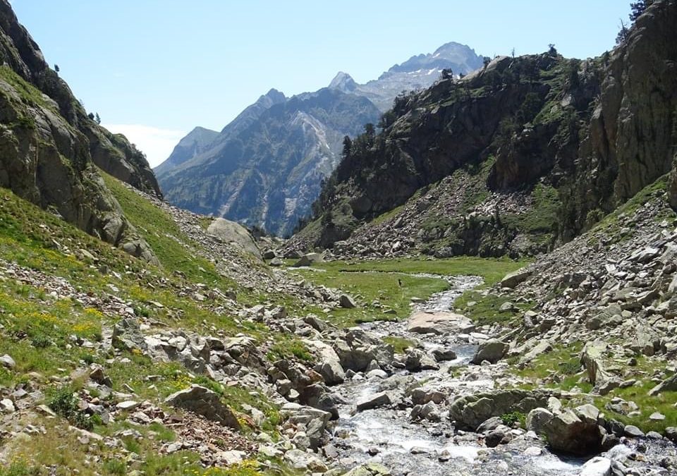 Pensamientos de agosto: Yo mismo seré tu ayuda