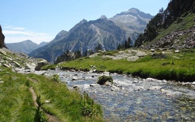 Pensamientos de agosto: estoy cerca de ti