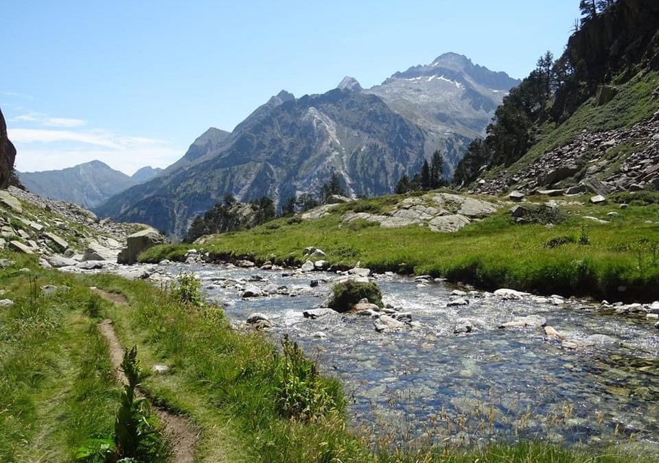Pensamientos de agosto: estoy cerca de ti