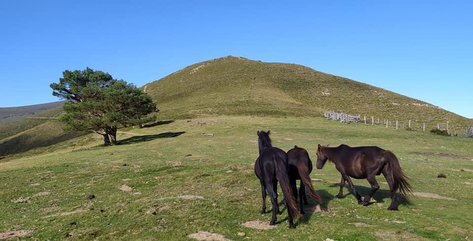 Pensamientos de septiembre: abrazar toda la creación